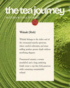 Yoga & Matcha Ceremony