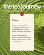 Yoga & Matcha Ceremony