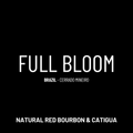 Full Bloom