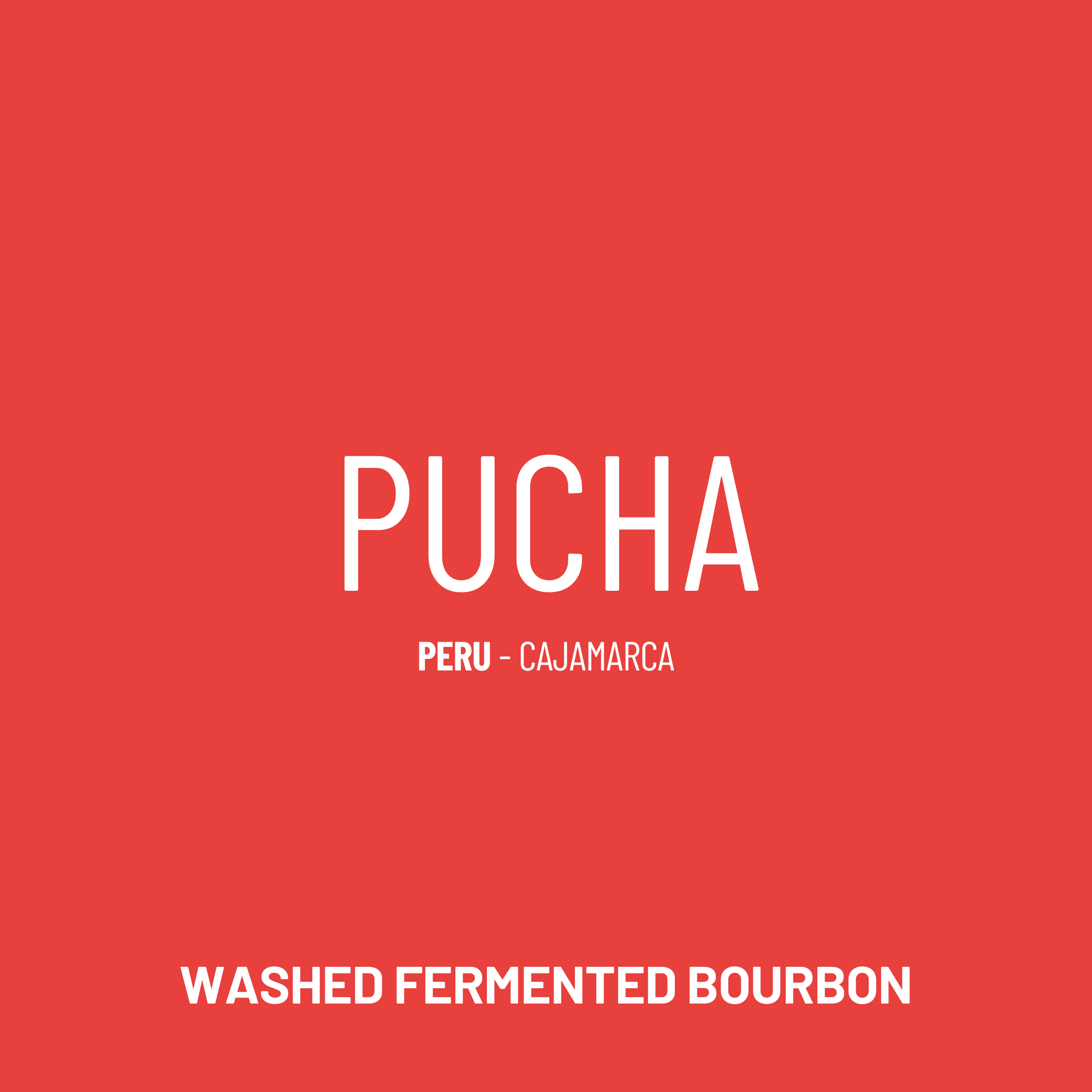Pucha
